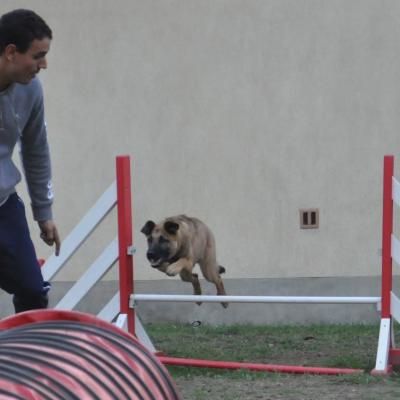 Agility