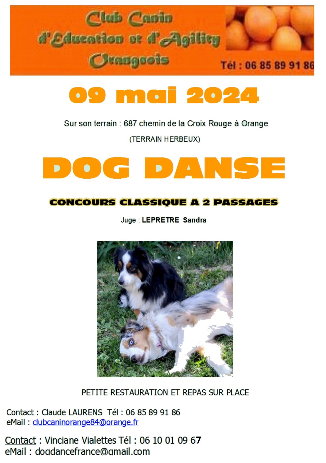 Affiche docdance 2024 orange